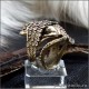 Кольцо Грифон ювелирная ручная работа в стиле фентези