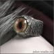 Дизайнерское кольцо с крыльями ангела и глазом соболя купить в интернет-магазине Джокер