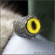 Кольцо с глазом кошки Фоссы и крыльями ангела необычной формы украшение со смыслом