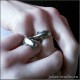 Парные кольца акула и дельфин молодежные украшения в интернет-магазине Джокер с доставкой