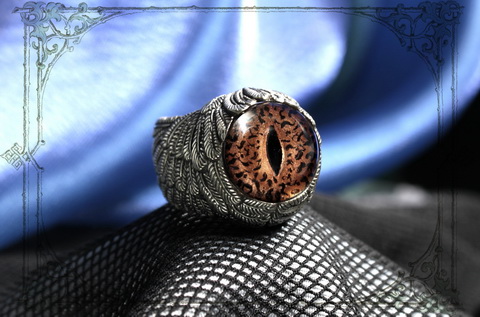 мужское кольцо глаз глаз ящерицы игуаны