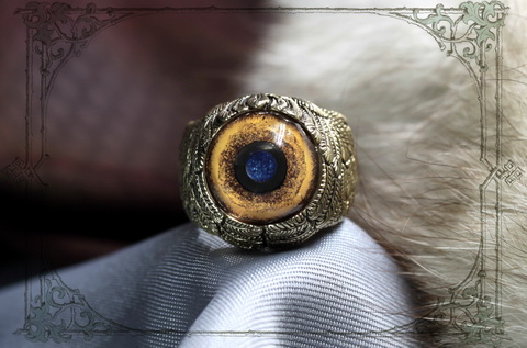 кольцо в виде крыльев с глазом тигра фото колец стильные